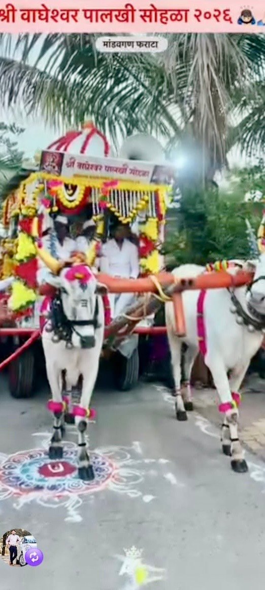श्री  वाघेश्वर  प्रासादिक दिंडी सोहळ्याचे भक्तीपूर्ण वातावरणात प्रस्थान.